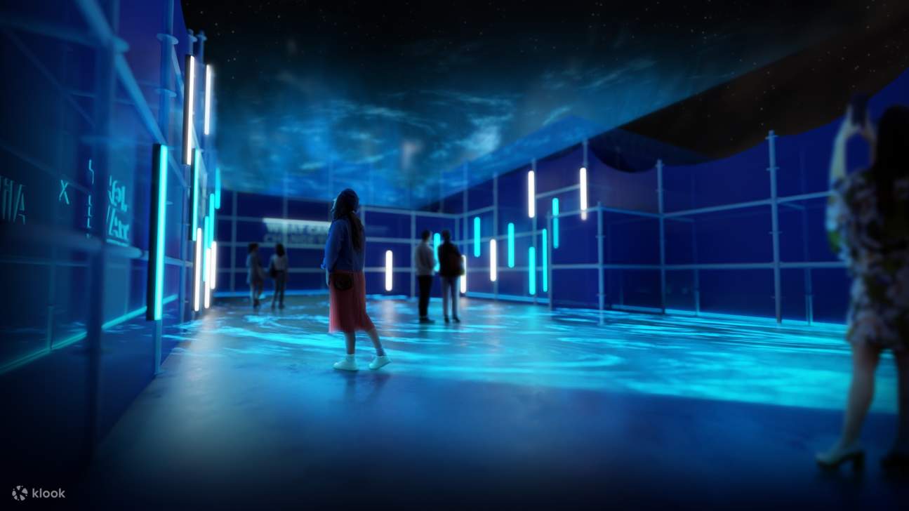 Lightwave Turning the Tide Ticket Klook Australia